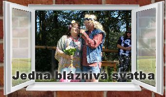 Jedna blzniv svatba